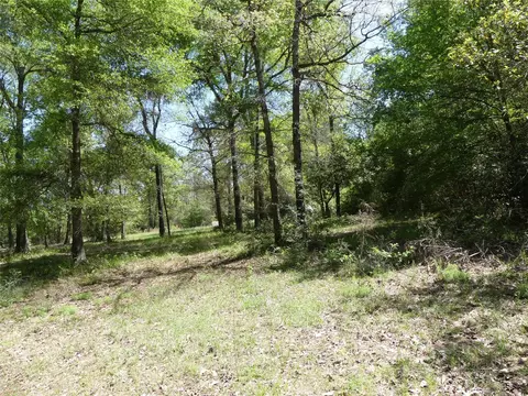 10994 Kittys Ln, Conroe, TX 77303 photo 9