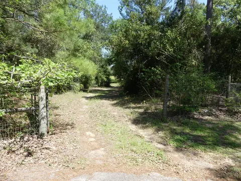 10994 Kittys Ln, Conroe, TX 77303 photo 6