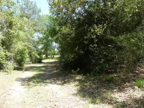 10994 Kittys Ln, Conroe, TX 77303 photo 7