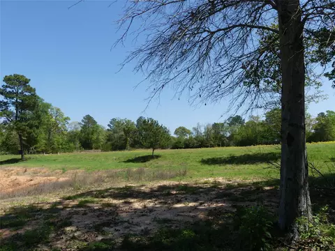 10994 Kittys Ln, Conroe, TX 77303 photo 18