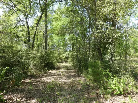 10994 Kittys Ln, Conroe, TX 77303 photo 16