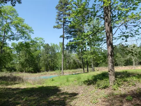 10994 Kittys Ln, Conroe, TX 77303 photo 17