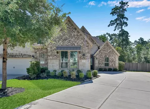 246 Liatris Ct, Conroe, TX 77304 photo 1