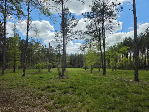 tbd Kelley Rd, Livingston, TX 77351