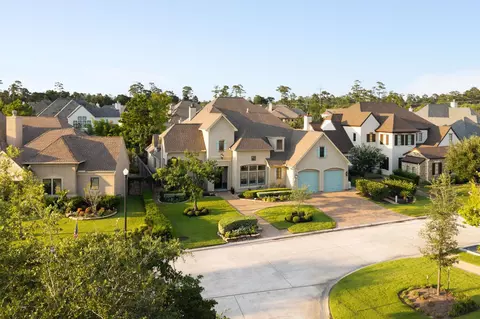 View/Area - 53 Pine Brook Ct, Shenandoah, TX 77381 photo 3 of 3