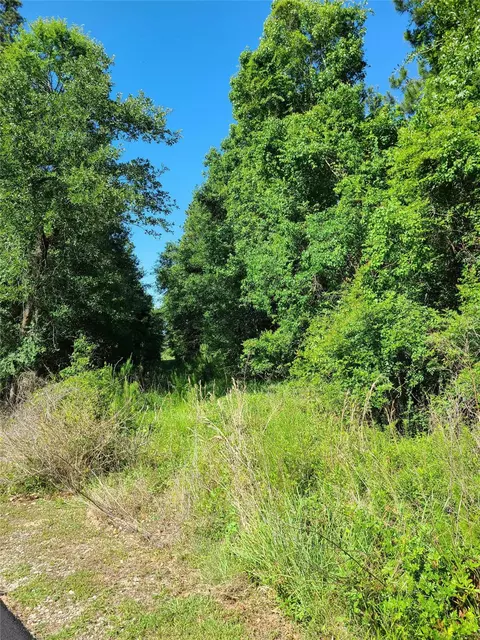 411 Springwood Dr, Conroe, TX 77385 photo 2