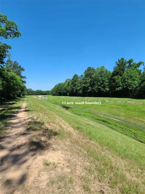 411 Springwood Dr, Conroe, TX 77385 photo 4