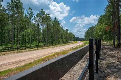Trac 14 Timberland Branch Drive, Woodville, TX 75979