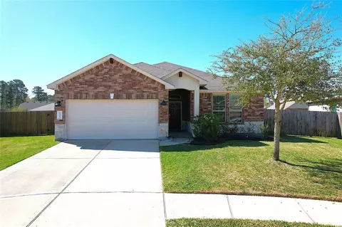 14312 Congaree Ct, Conroe, TX 77384 photo 1