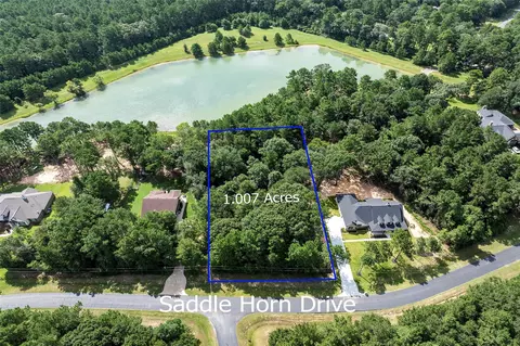 27140 Saddlehorn Dr, Waller, TX 77484