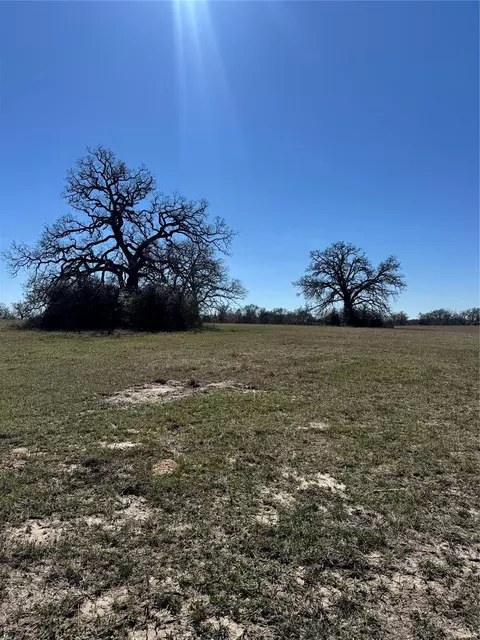 tbd Tract 8 Connor Landing Ct, Madisonville, TX 77864