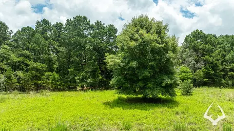 00 County Road 2265, Grapeland, TX 75844