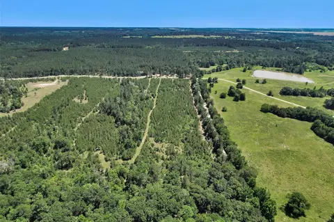 0 Williamson Way, Lovelady, TX 75851