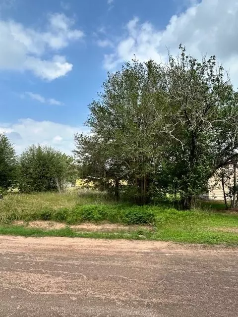 0 2nd St, Hempstead, TX 77445 photo 2