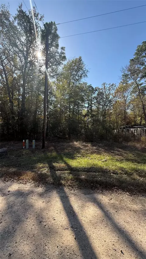0 Brackenridge Livingston Tx 77351, Livingston, TX 77351