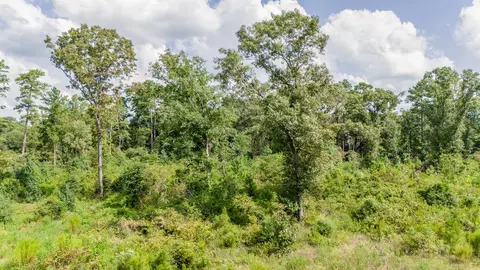 17171 E Fm 1097 Rd, Willis, TX 77378 photo 13