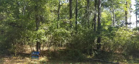 tbd Cove Dr, Point Blank, TX 77364 photo 3
