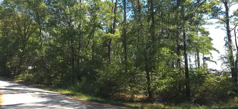 tbd Cove Dr, Point Blank, TX 77364 photo 4