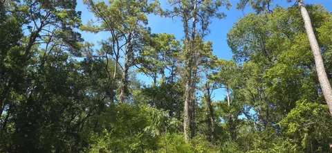 131 Cove Ln, Point Blank, TX 77364