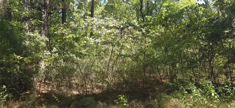 tbd Cove Dr, Point Blank, TX 77364 photo 2