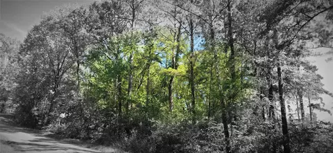 tbd Cove Dr, Point Blank, TX 77364 photo 5