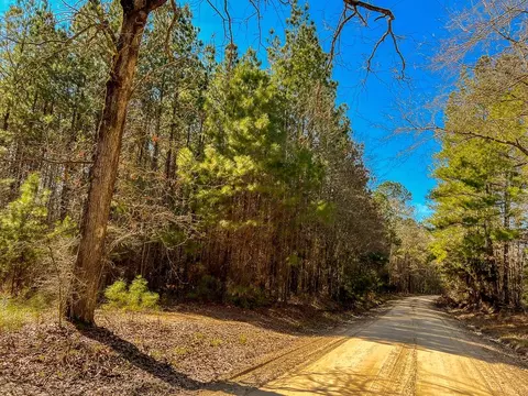 6 Union Springs Rd, Corrigan, TX 75939