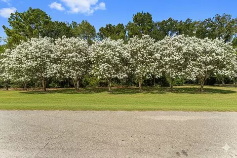102 Forest Wind Ct, Montgomery, TX 77316