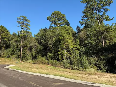 236 Hollow Hill Dr, Huntsville, TX 77358
