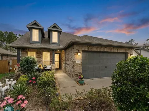 133 Pepper Grass Pl, Montgomery, TX 77316