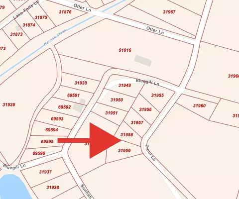 8 Trout Ln, Huntsville, TX 77320