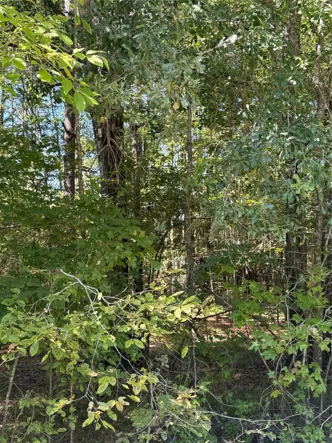 000 Caney Crk, Huntsville, TX 77320