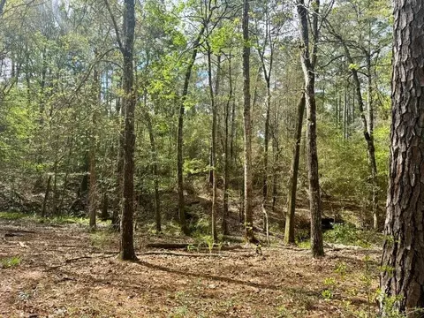 lot281 Lakeland Ranch Dr, Hillister, TX 77624