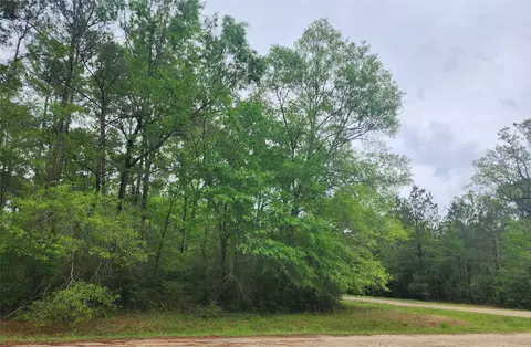 tbd Cloverdale, Livingston, TX 77351