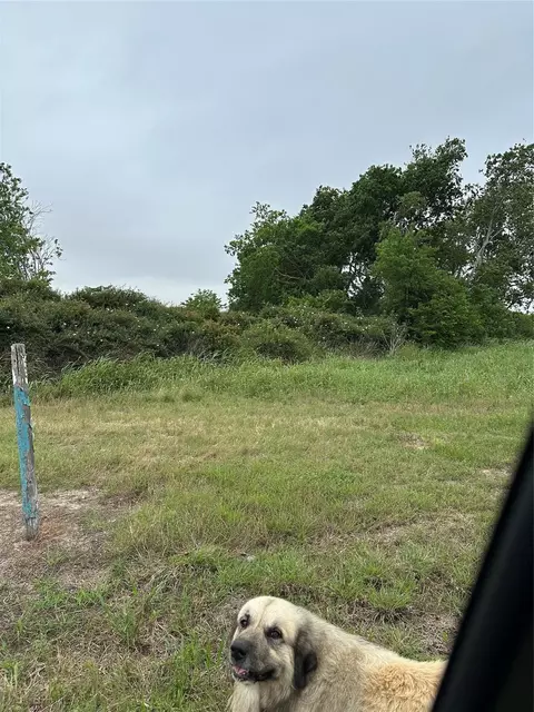 0 W County Road 465 Texaco Rd, Blessing, TX 77419