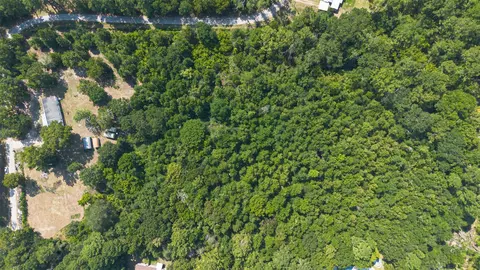1031 Morris Creek Rd, Coldspring, TX 77331