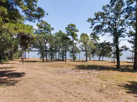0 Shawnee Dr, Onalaska, TX 77360 photo 11
