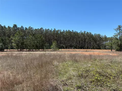 15807 Vine View Ct, Willis, TX 77378