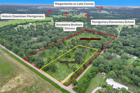 10 548 Acres Womack Cemetery Rd, Montgomery, TX 77316