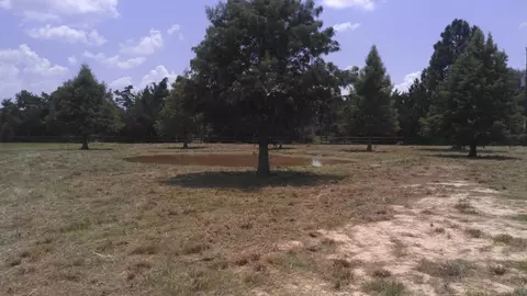 32519 Gadwall St, Brookshire, TX 77423