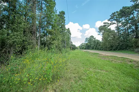 tbd Fm 2610, Livingston, TX 77351