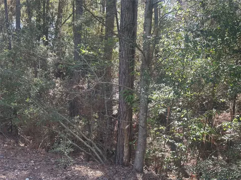 lot67 68 Wildwood Hbr, Onalaska, TX 77360