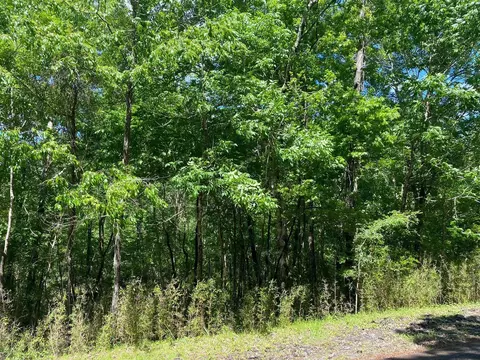 22 S Pine Harbour Dr, Coldspring, TX 77331