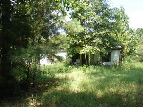 3 Troha Rd, Shepherd, TX 77371 photo 1