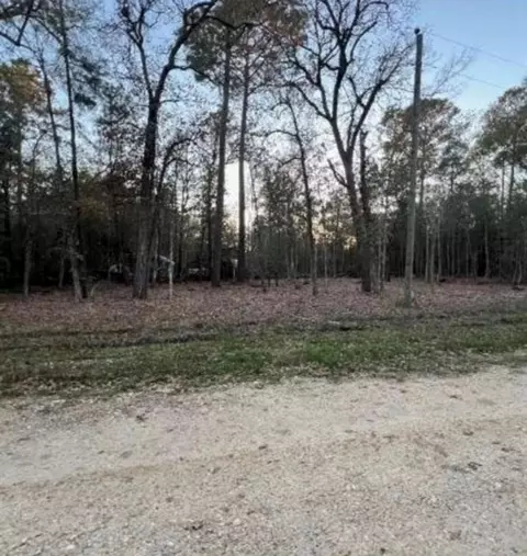 0 Deer Trl, Livingston, TX 77351