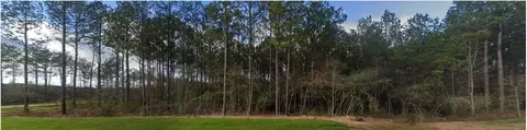 15508 Forest Grove Dr, Willis, TX 77378