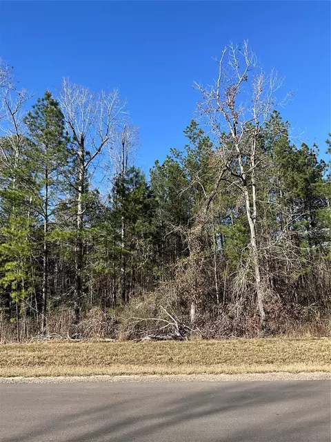 175 Exploration Rd, Willis, TX 77378