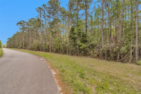 tbd Tr1 Cedar Lane Loop, Willis, TX 77378 photo 7