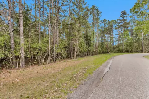 tbd Tr1 Cedar Lane Loop, Willis, TX 77378 photo 6