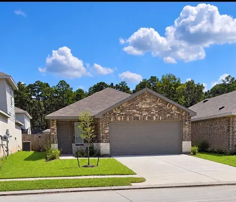 Exterior - 23830 Desert Peach Dr, Spring, TX 77373 photo 2 of 5
