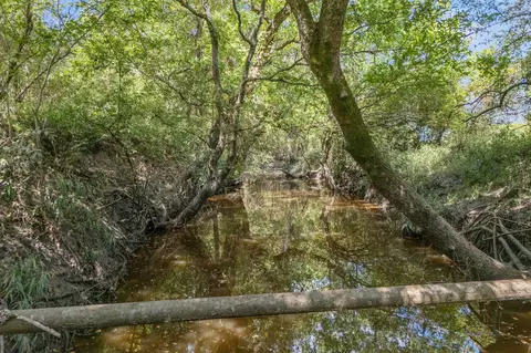 0 Fm-149 E, Richards, TX 77873 photo 9